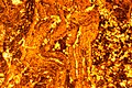 Thin layer: calcretes (calcareous crusts) reworked in a gravelly coastal sediment, partly dolomitized