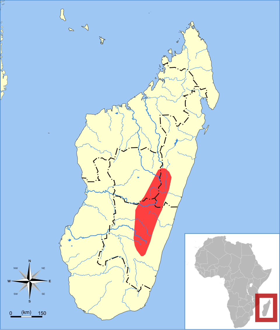 File:Hemicentetes nigriceps range map.svg