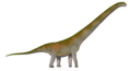 Thumbnail for version as of 16:46, 24 February 2024