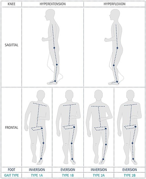 File:N.A.P. Gait Classificaition gb.jpg