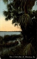 Thumbnail for version as of 03:21, 16 April 2026