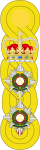 1881 to 1902 colonel's shoulder rank insignia