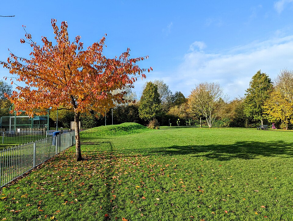 File:Colden Common November 2021.jpg