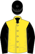 Yellow, black sleeves and cap