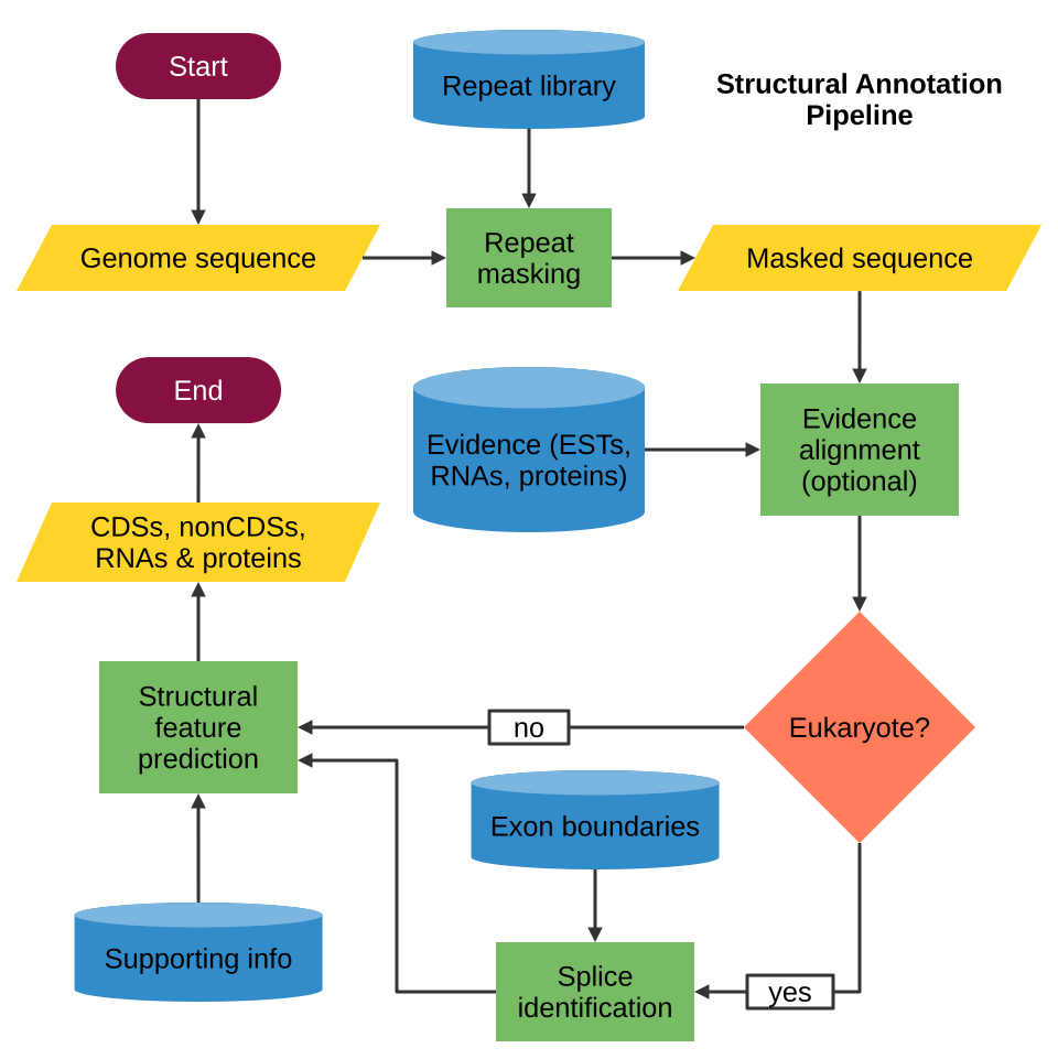 File:Structural Annotation Flowchart.svg