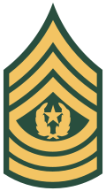 1966–1979 Goldenlite  stripes for Army Green "Class A" service uniform