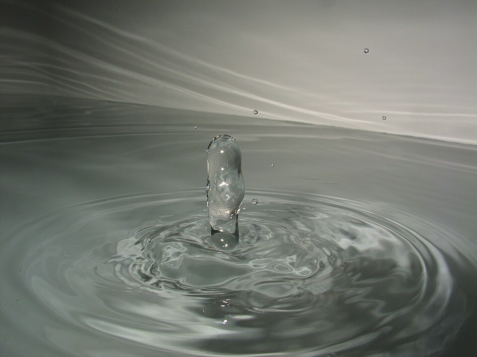 File:2006-01-28 drop-impact backjet.jpg