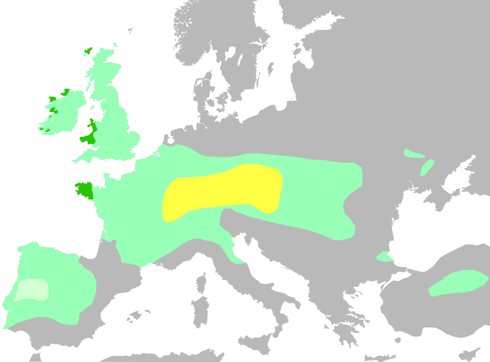 File:Celtic expansion in Europe.svg
