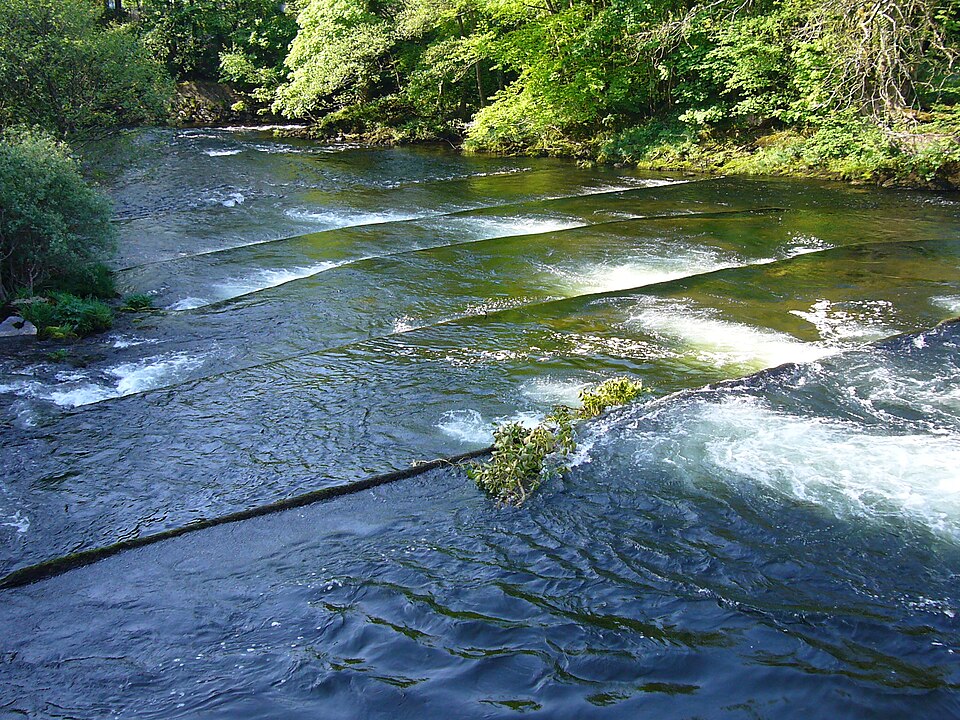 File:Dart at Salmon leap 2.JPG
