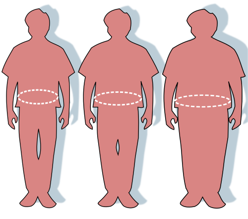 File:Obesity-waist circumference.svg