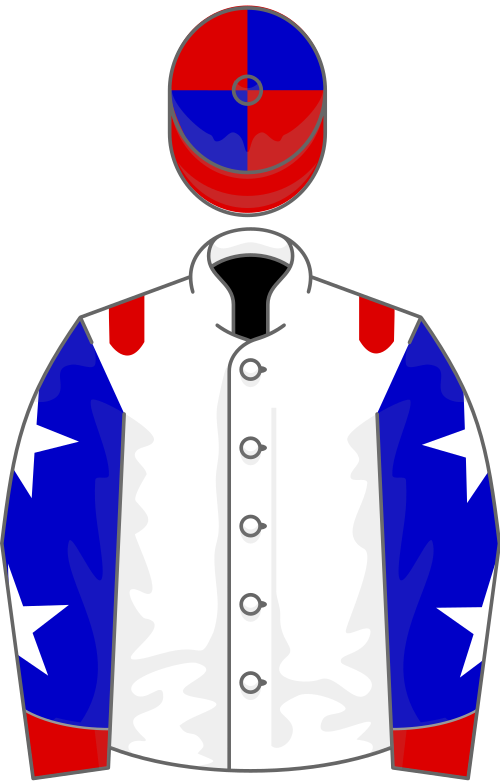 File:Owner Allen E Paulson.svg