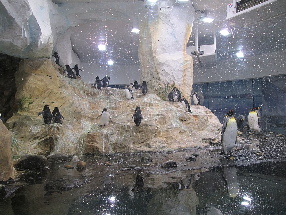 File:Pinguini Z.JPG