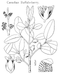 Thumbnail for version as of 05:23, 8 March 2008
