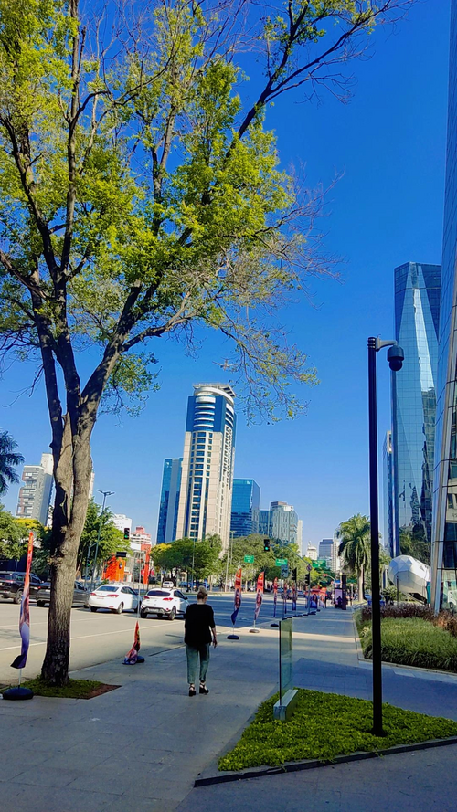 File:Avenida Brigadeiro Faria Lima2.webp