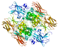 Thumbnail for version as of 03:19, 17 December 2009