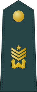 File:SouthKorea-Army-OR-8.svg