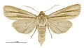 Thumbnail for version as of 23:27, 25 June 2017