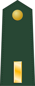 File:US-AGRO-Army-OF-1b (1959).svg