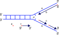 Thumbnail for version as of 16:06, 5 March 2007