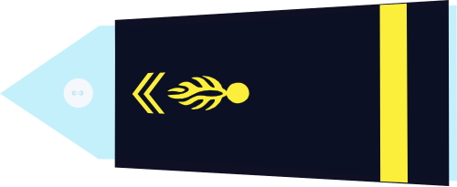 File:Slt gm.svg