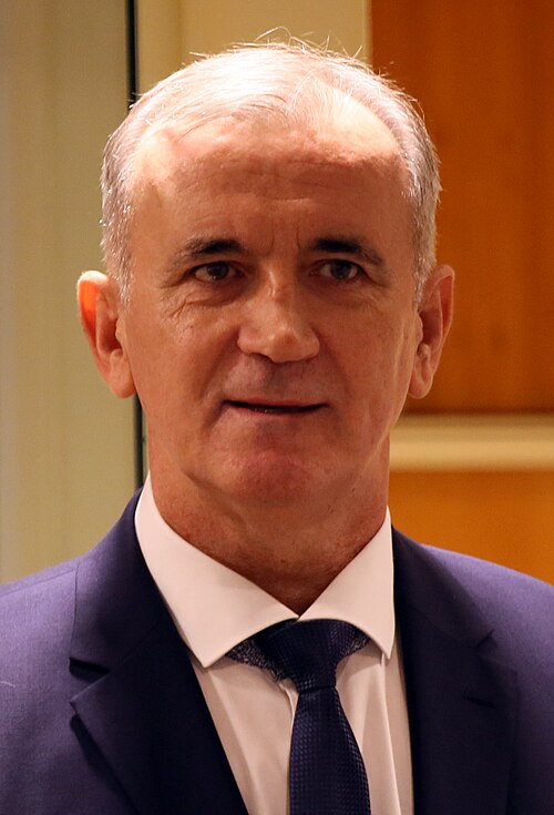 File:Valentin Ćorić.jpg