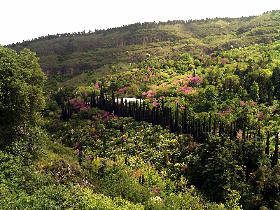 File:Botanic Garden, Tbilisi.jpg