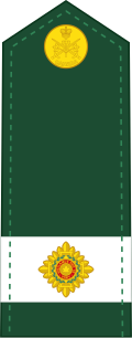 File:Canadian Army OF (D).svg