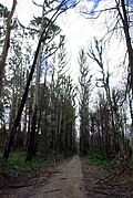 Grand Ridge Rail Trail