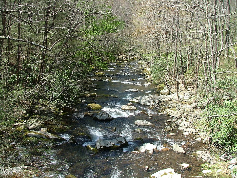 File:Middle Prong Little River.jpg