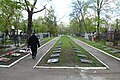 Alley of Fame on the right side from the entrance to Cementery