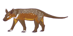 Quadrupedal brown mammal