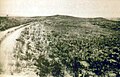 Photo taken in 1894 by H.R. Locke on Battle Ridge looking toward Last Stand Hill (top center). To the right of Custer Hill is Wooden Leg Hill, named for a surviving warrior. He described the death of a Sioux sharpshooter killed after being seen too often by the enemy.