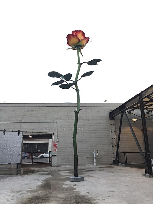 File:Rose hauser & wirth.jpg