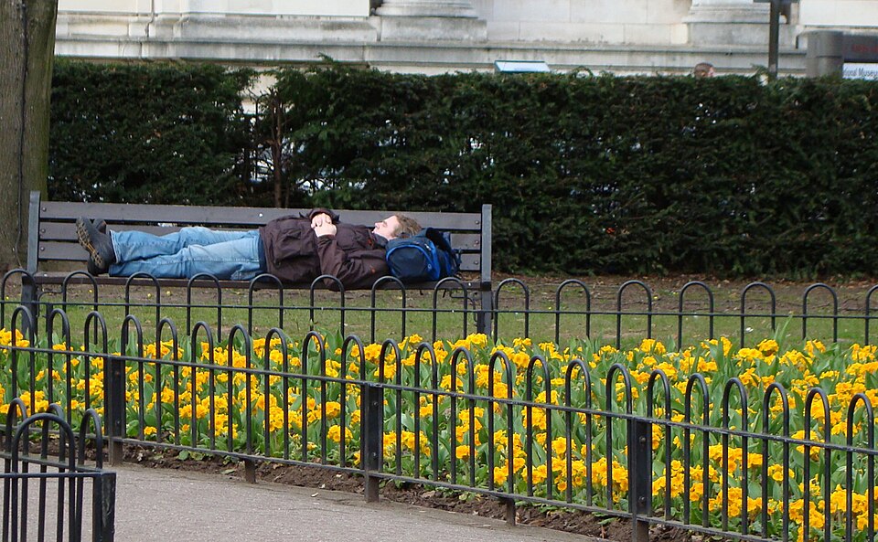 File:Spring Nap.jpg