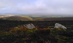 The Whit Stones: two standing stones 230 m west of Whitstone Post