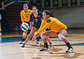 The 2013 Texas A&M–Commerce Lions women's volleyball team