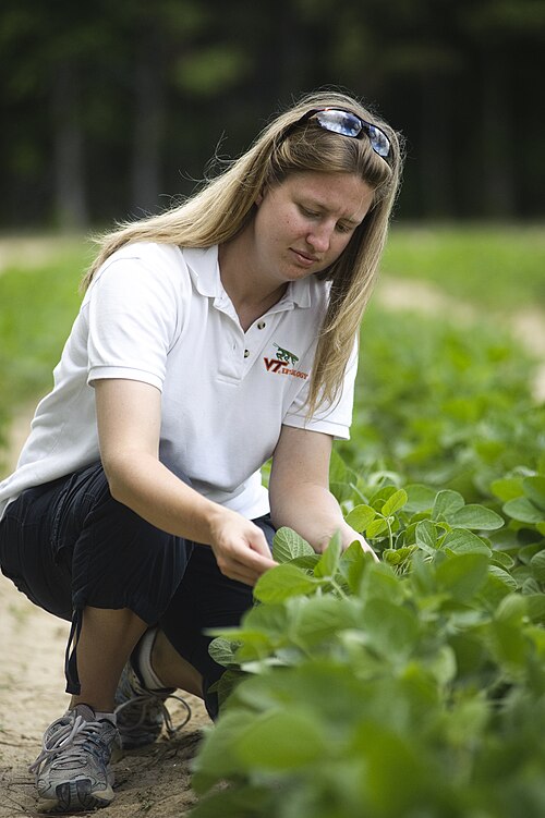 File:Eastern Shore Ag Research 1.jpg