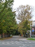 Kauge street