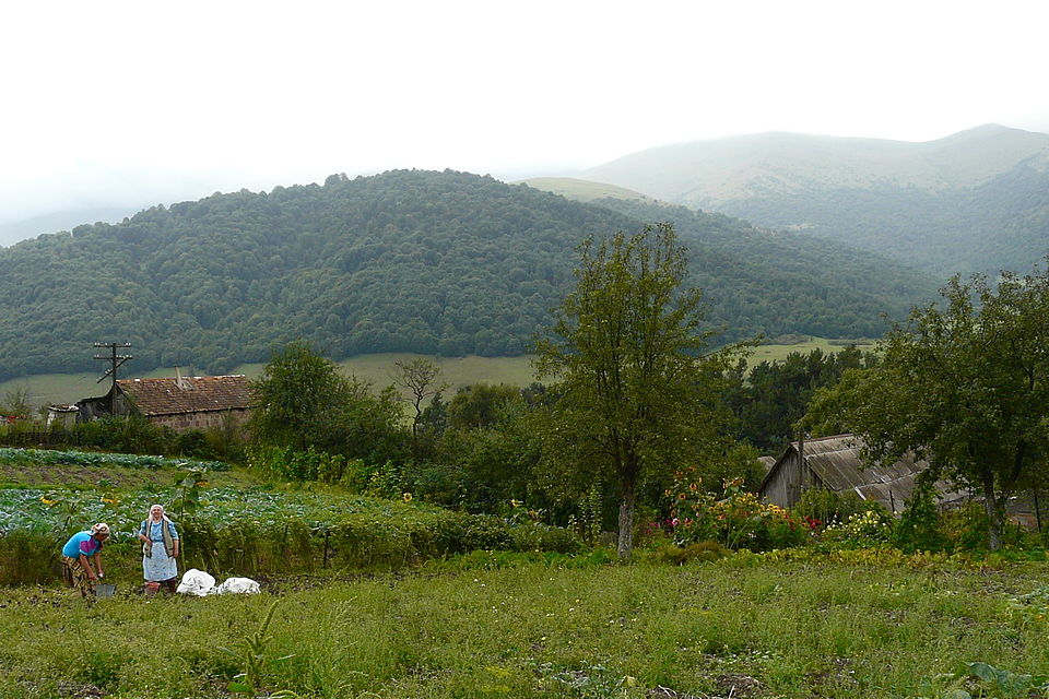 File:Fioletovo2 (6 sept 2008).jpg