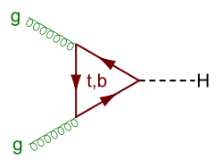 Gluon fusion