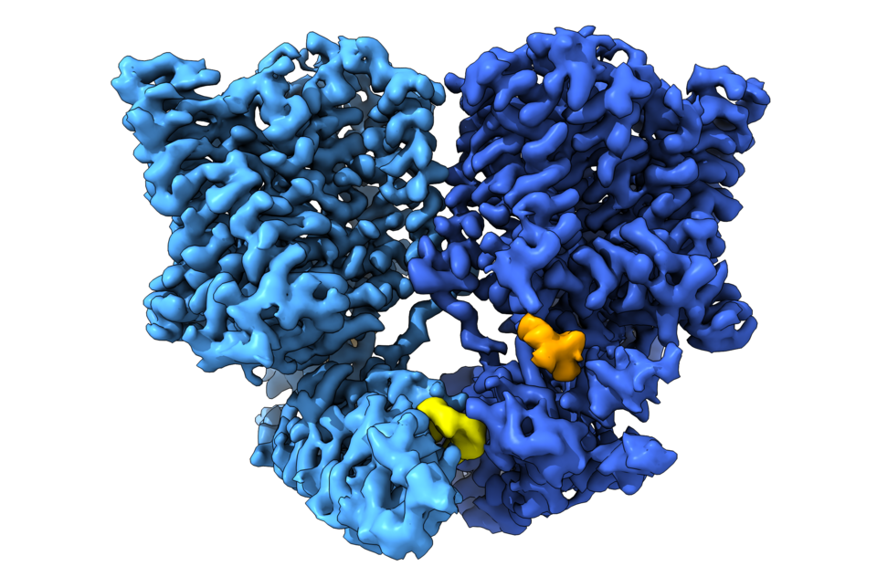 File:Human XPR1 in complex with InsP7.png