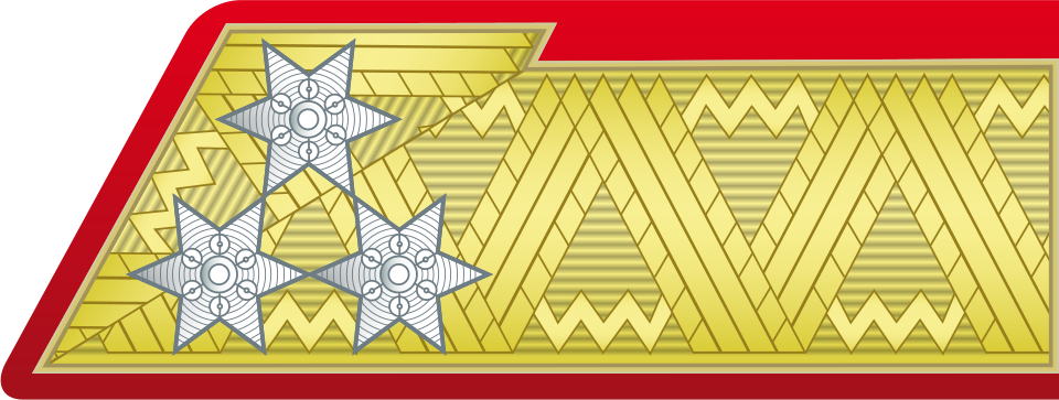 File:K.u.k. OF8 General der Waffengattung 1918.svg