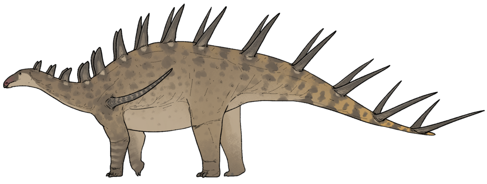 File:Kentrosaurus aethiopicus.png
