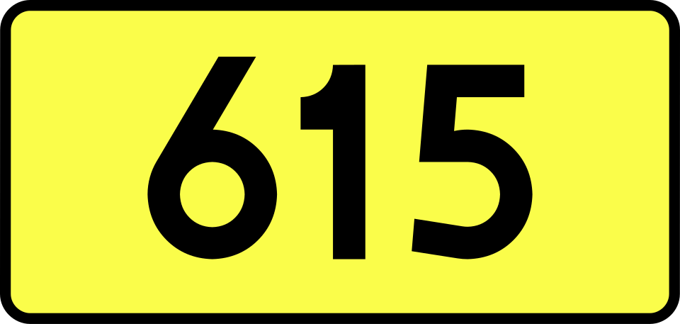 File:DW615-PL.svg