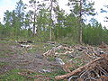 Thumbnail for version as of 13:28, 9 April 2009