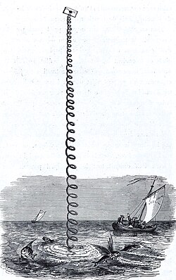 An Elastic Rocket