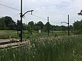 Thumbnail for version as of 02:54, 10 June 2018