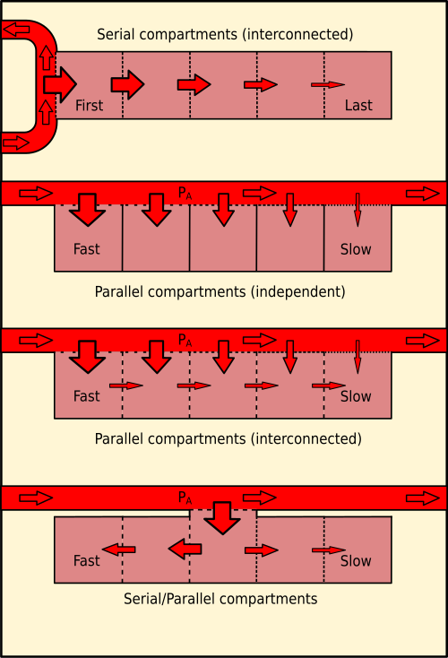 Diagram comparing serial (interconnected), parallel (independent), parallel (interconnected) and combined series-parallel tissue compartment models