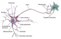 Thumbnail for version as of 13:09, 20 December 2013