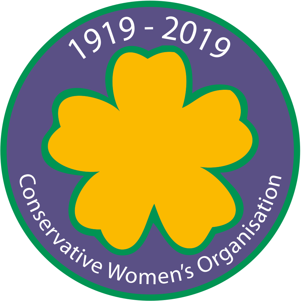 File:CWO 100 Logo.svg